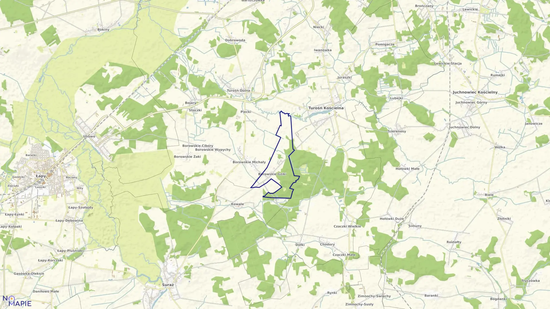 Mapa obrębu BOROWSKIE GZIKI w gminie Turośń Kościelna