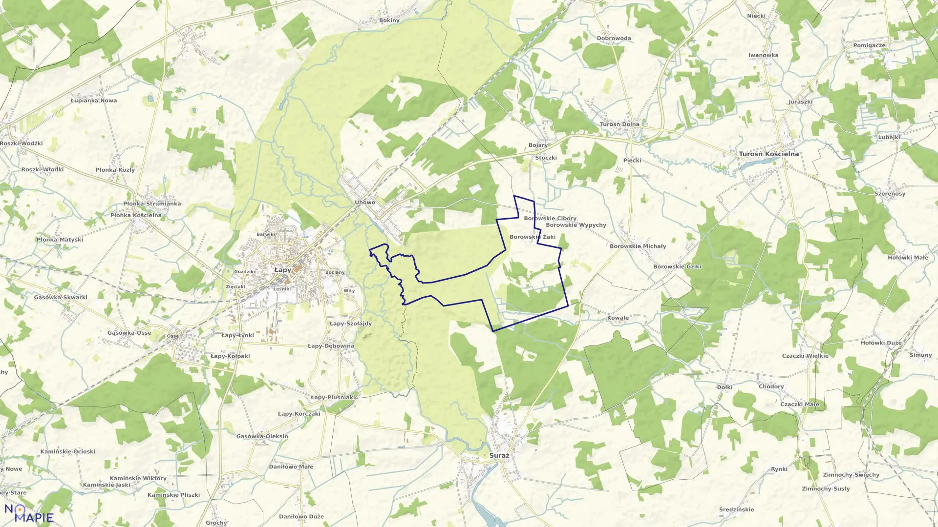 Mapa obrębu BOROWSKIE ŻAKI w gminie Turośń Kościelna